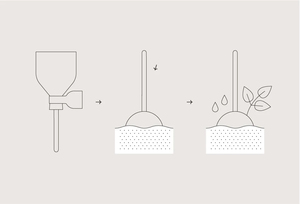 Kit de plantes <span class=keywords><strong>pop</strong></span> durables pour l'extérieur et le bureau avec papillon pollinisateur légumes de ferme en pot pour la conception de la maison - Product Image 4