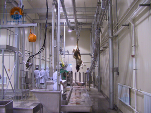 Chaîne de traitement d'usine d'abattoir de vache composants de noyau moteur de roulement de pompe à moteur transportent la machine de rail pour l'abattage de bétail - Product Image 2