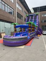Toboggan aquatique gonflable commercial pour adultes, château gonflable pour enfants avec piscine