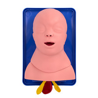 Simulateur de formation à l'intubation endotrachéale et au traitement des voies respiratoires néonatales pour étudiants en médecine et cliniciens pédiatriques CE/ISO