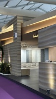 Panneau de pierre pour mur intérieur MS Panneau flexible en travertin en brique d'argile placage de terre battante autoclavé solide pour l'ignifugation