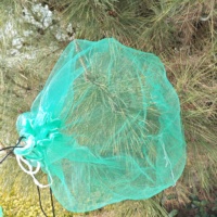Sac en filet en HDPE de qualité alimentaire pour l'emballage des dattes de palmier 50x80cm