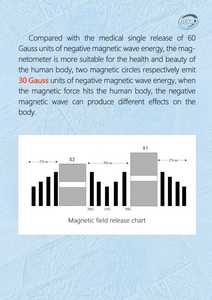 Máquina de terapia de transducción magnética rehabilitadora de precio de fábrica para aliviar el dolor - Product Image 6