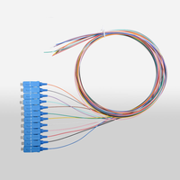 Factory Direct Price 12-Core 0.9mm SC/UPC/APC Single Mode Fibre Bundle Pigtail 1M Available Fibre Optic Patch Cord
