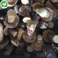 Champignons entiers IQF Boletus Edulis Prix Champignons Congelés Suillus Luteus Chine SD 12 Tonnes (Charge Mixte avec Durée de Conservation de 24 Mois Toute l'Année)