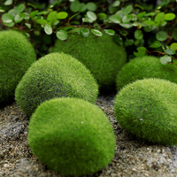Rocailles de mousse artificielle vertes de style moderne, boules de mousse décoratives écologiques pour aquarium en plastique 220V