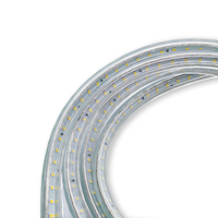 TOMAC chantier utilisation extérieure bande lumineuse led étanche 220-240V double face, chaque côté 180leds 50M 6000K IP65 IK10