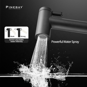 PINEBAY, черный, двухфункциональный распылитель для биде - Product Image 5