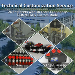 <span class=keywords><strong>12V</strong></span> Fernbedienung 5-Wege-Richtungssteuerung Hydraulisches Magnetventil Sektionales Hydraulikventil für Kräne mit Elektrischer Fernbedienung - Product Image 5