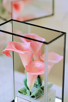Bunga Calla Lily Grosir dengan Kotak Kaca, Bunga Kering Awet untuk Dekorasi Pernikahan, Bunga Calla Lily Artifisial, Bunga Artifisial