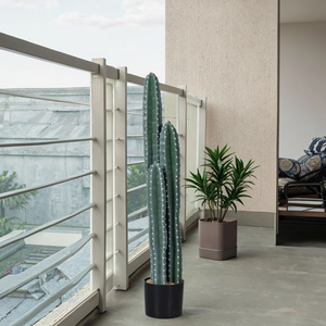 Fabricants <span class=keywords><strong>en</strong></span> gros de plantes artificielles, <span class=keywords><strong>cactus</strong></span> artificiel, <span class=keywords><strong>cactus</strong></span> de différentes tailles, plantes vertes pour la décoration de la maison, mariage, sol - Product Image 3