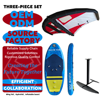 Offre Spéciale : Kit de Wing Foil en Carbone en Stock – Ensemble Kitesurf 3-en-1 pour Débutants – Planche, Pompe et Aile Gonflable