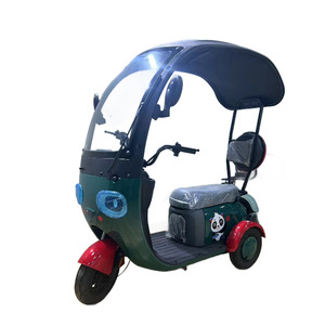 Tricycle électrique adulte 48V avec auvent, protection contre la pluie et le soleil, dimensions 1550x1100mm - Product Image 3