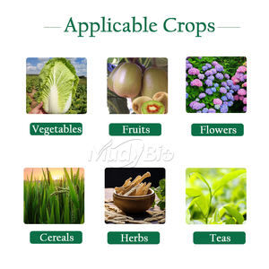 Npk + te בינוני אלמנטים מניטול אצות אורגני תמצית דשן שחרור איטי רב פונקציה - Product Image 3