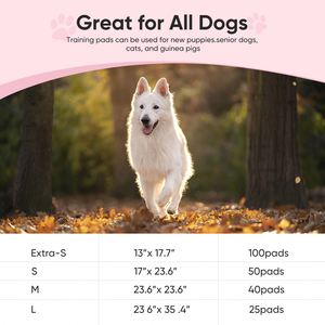 Muestra Gratis de Almohadillas Absorbentes para Mascotas, Almohadillas Desechables para Cachorros de Secado Rápido, Almohadillas para Orina de Perros, Almohadillas de Entrenamiento para Mascotas - Product Image 3