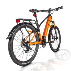 Vélo de montagne électrique 29 pouces, cadre en alliage d'aluminium, moteur central 250W, batterie lithium 48V, entrepôt UE - Product Image 3