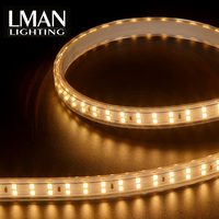 Guirlandes lumineuses LED flexibles sans fil SMD2835 de haute qualité, 220V, indice de protection IP65, PVC, 100m, dimmables