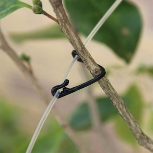 Attaches et pinces durables <span class=keywords><strong>pour</strong></span> branches de <span class=keywords><strong>vigne</strong></span>, attaches végétales en plastique et crochets de fixation en gros <span class=keywords><strong>pour</strong></span> système de treillis de vignoble - Product Image 3
