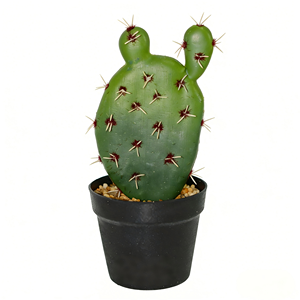 <span class=keywords><strong>Cactus</strong></span> artificiel haut de gamme, plante de bureau, simulation de <span class=keywords><strong>cactus</strong></span> du désert avec pot en plastique noir - Product Image 5