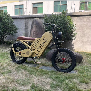 <span class=keywords><strong>2022</strong></span> Lohas conception de qualité supérieure vélo hybride électrique 2000W Mid Drive haute puissance avec batterie de marque Mid Drive Motor Cycle - Product Image 4