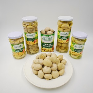بيع بالجملة الخضروات الغذائية المعلبة الفطر كامل/شرائح/قطع وينبع في محلول ملحي - Product Image 4