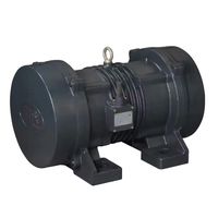 Moteur vibrateur asynchrone triphasé Chuan-Sheng CSV 0,5 CV, force de vibration de 800 kg, protection IP55, certifié CE