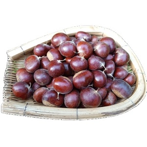 Châtaignes Biologiques Séchées, Produit Phare, Traitement Brut, Vente en Gros Chine, Exportation Alimentaire - Product Image 3