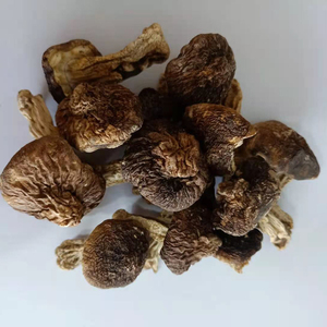 Deliciosos Hongos Shiitake Secos, <span class=keywords><strong>Matsutake</strong></span> Seco, <span class=keywords><strong>Tricholoma</strong></span> <span class=keywords><strong>Matsutake</strong></span> Seco - Product Image 6