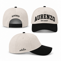 Casquette de baseball unisexe en coton structuré à 5 panneaux avec logo personnalisé brodé en 3D, chapeau de sport réglable pour la course à pied, OEM ODM, vente en gros, directement de l'usine