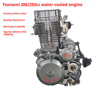 Nuevo Conjunto de Motor para Motocicleta Trike Tsunami de 200cc con Doble Refrigeración, Motor Zongshen//Motor para Scooter - Product Image 2