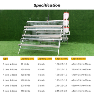 Cage à poules pondeuses de type A pour 1000 oiseaux, cages à poules pondeuses en batterie pour 3/4 niveaux, idéales pour les exploitations avicoles - Product Image 5