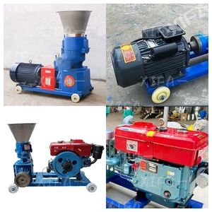 Máquina de Pellets para Alimentación Animal con Elevador de Cangilones - Diseño que Ahorra Espacio, Acero Inoxidable, Capacidad de 100 kg/h - Product Image 4