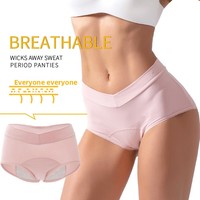 Culotte menstruelle antibactérienne taille haute en V pour femme, grande taille, style transfrontalier Europe-Amérique, anti-fuite