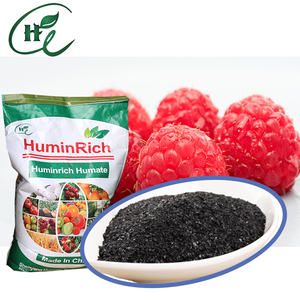 "HuminRich" SY1001 Améliore L'absorption Des Nutriments Augmente Le Rendement Acide Alginique <span class=keywords><strong>Engrais</strong></span> À <span class=keywords><strong>Base</strong></span> <span class=keywords><strong>D</strong></span>'<span class=keywords><strong>algues</strong></span> - Product Image 6
