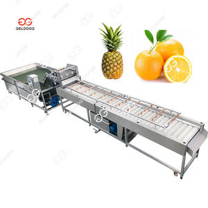 1000 кг/ч машина для очистки и резки ананасового персика, очистки кожи, фруктов, персика, стиральная машина - Product Image 1