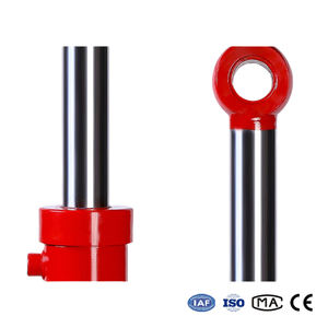 בוכנה הידראולית כפולת פעולה בלחץ גבוה HSG <span class=keywords><strong>40</strong></span>/50/63/80 להרמת מוט בוכנה עבור מלגזה ומעלית מטען - Product Image 2