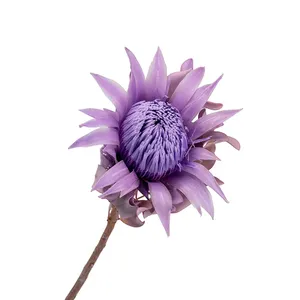 Flores Naturales Preservadas AYOYO OEM, Protea Gigante de Larga Duración, Flores de Protea Preservadas, King Floral - Product Image 2