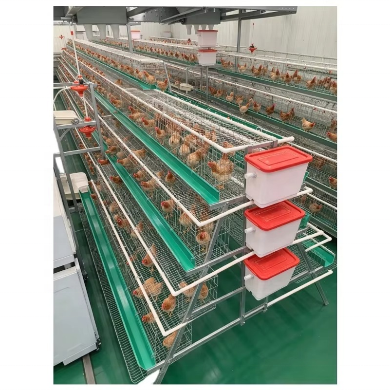 Poultry Stacker Heavy Duty Galvanized Poultry Cage System with Plastic Nesting Trays ...