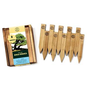 Kit d'arbre bonsaï <span class=keywords><strong>de</strong></span> rebord <span class=keywords><strong>de</strong></span> fenêtre ensemble <span class=keywords><strong>de</strong></span> jardinage d'intérieur en bois avec visionneuse <span class=keywords><strong>de</strong></span> racines pour la conception artificielle décorative <span class=keywords><strong>de</strong></span> la fête des pères - Product Image 1