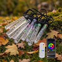 Décoration de jardin extérieure à LED RGB intelligente à énergie solaire, indice de protection IP65, en PVC, avec télécommande via application, installation facile au sol et en encastré