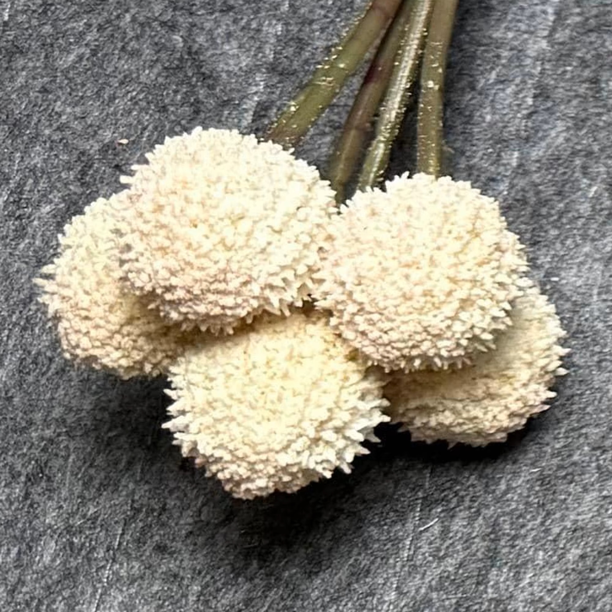 7 Stems 7 Heads 62cm Beige