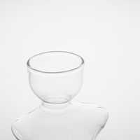 Vase en verre hydroponique pour avocat, pot de culture dédié pour la plantation de graines, ornement de jardinage d'intérieur pour bureau