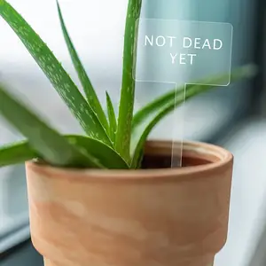 12 Buah Label Taman Label Tanaman Akrilik Jenis T Penanda Tanaman Herba Tahan Air untuk Dalam Ruangan Luar Ruangan Pot Tumbuhan Bunga