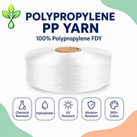 Wholesale 900D Abrasion-Resistant Multifilament Yarn FDY 100% Polypropylene Melt Spinning Multifilament PP Yarn for Strap