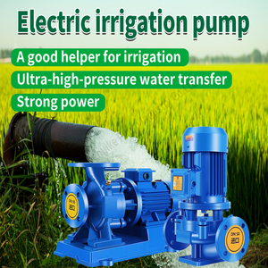 Nhà sản xuất trực tiếp Lớn Tốc độ dòng chảy cao hút cuối hút Ly Tâm Bơm điện máy bơm nước tưới tiêu nông nghiệp máy bơm - Product Image 4