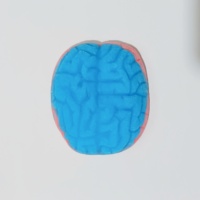 Bonbons gélifiés cérébraux 3D bleus Yummy, bonbons à mâcher classiques très demandés pour Halloween, bonbons gélifiés en forme d'organes