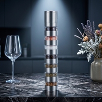 Moulin à épices manuel en acier inoxydable, moulin à poivre et à sel, broyeur à meules céramiques réglables, empilable, professionnel pour la cuisine