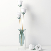 Vase en verre Double coloré Art Vase d'aromathérapie Vase en verre Borosilicate Transparent Restaurant hydroponique décoration de table