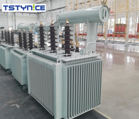 Transformateur toroïdal triphasé immergé dans l'huile 320/315/300 KVA 30KV 33KV 400V série S certifié CE IEC GOST 50/60Hz