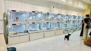 Cápsula Espacial Inteligente para Gatos, Jaula Multifuncional de 2 Niveles, Jaula de Crianza con Luces de <span class=keywords><strong>Tres</strong></span> Colores - Product Image 4